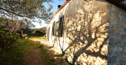 Vineyard And Farmstead For Sale In Sardinia. ref Lu Mocu