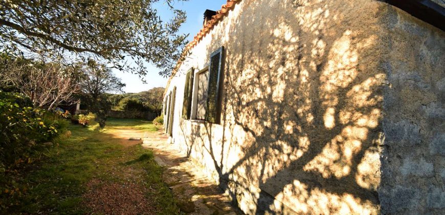 Vineyard And Farmstead For Sale In Sardinia. ref Lu Mocu