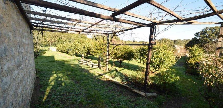 Vineyard And Farmstead For Sale In Sardinia. ref Lu Mocu