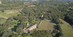 Vineyard And Farmstead For Sale In Sardinia. ref Lu Mocu