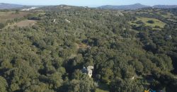 Vineyard And Farmstead For Sale In Sardinia. ref Lu Mocu