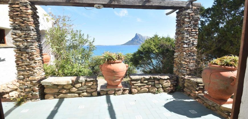 Beachfront Villas For Sale Sardinia; ref Cala Girgolu