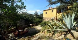 Sea View Villa For Sale In San Teodoro Sardinia