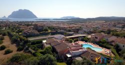 Stunning Villas For Sale in Sardinia,  Ref. Poggio