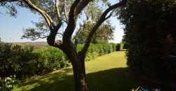 Stunning Villas For Sale in Sardinia,  Ref. Poggio