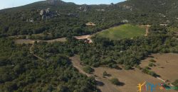 Unfinished Country Homes For Sale Porto Cervo With 8 Ha Land