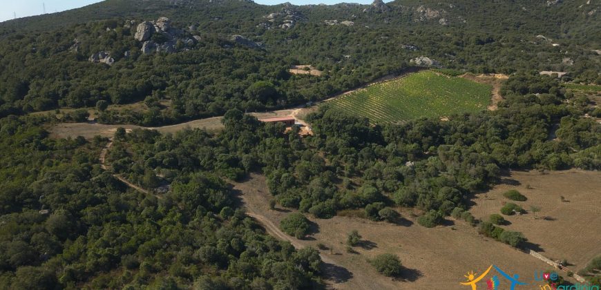 Unfinished Country Homes For Sale Porto Cervo With 8 Ha Land