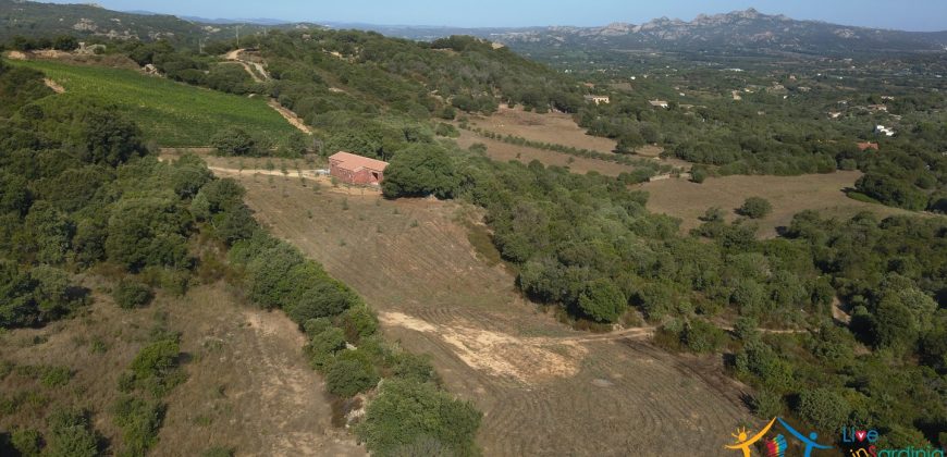 Unfinished Country Homes For Sale Porto Cervo With 8 Ha Land