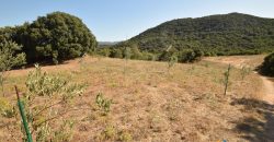 Unfinished Country Homes For Sale Porto Cervo With 8 Ha Land