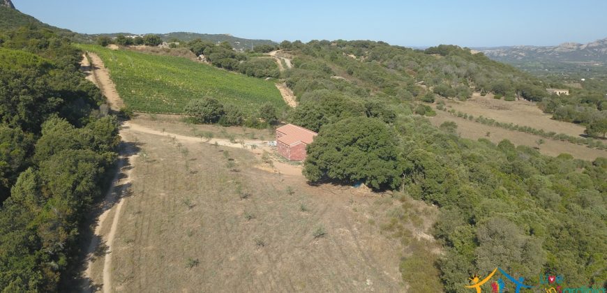 Unfinished Country Homes For Sale Porto Cervo With 8 Ha Land