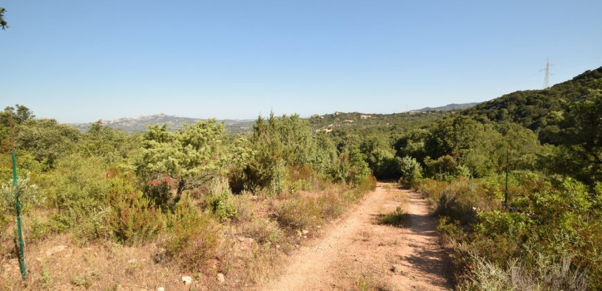 Unfinished Country Homes For Sale Porto Cervo With 8 Ha Land