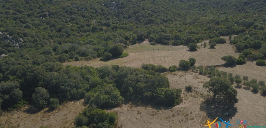 Unfinished Country Homes For Sale Porto Cervo With 8 Ha Land