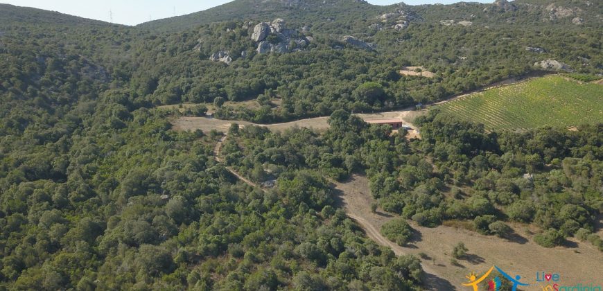 Unfinished Country Homes For Sale Porto Cervo With 8 Ha Land