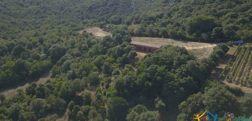 Unfinished Country Homes For Sale Porto Cervo With 8 Ha Land