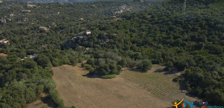 Unfinished Country Homes For Sale Porto Cervo With 8 Ha Land