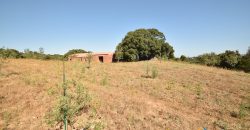 Unfinished Country Homes For Sale Porto Cervo With 8 Ha Land