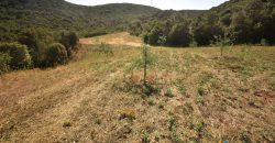 Unfinished Country Homes For Sale Porto Cervo With 8 Ha Land