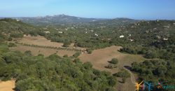 Unfinished Country Homes For Sale Porto Cervo With 8 Ha Land