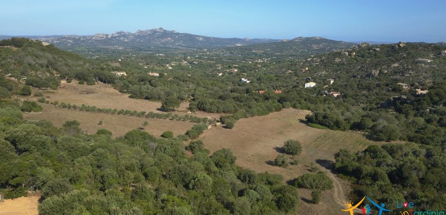 Unfinished Country Homes For Sale Porto Cervo With 8 Ha Land