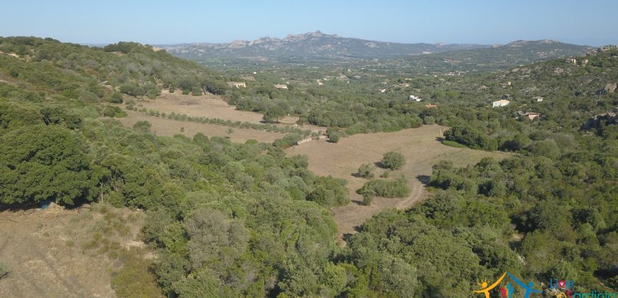 Unfinished Country Homes For Sale Porto Cervo With 8 Ha Land