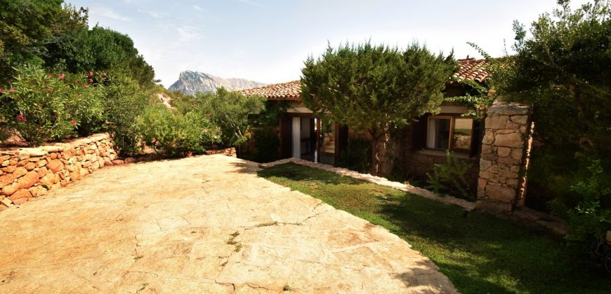 Property For Sale San Teodoro Sardinia ref. Lentischio
