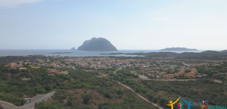 Sea View Property For Sale In Olbia ref. Borghetto