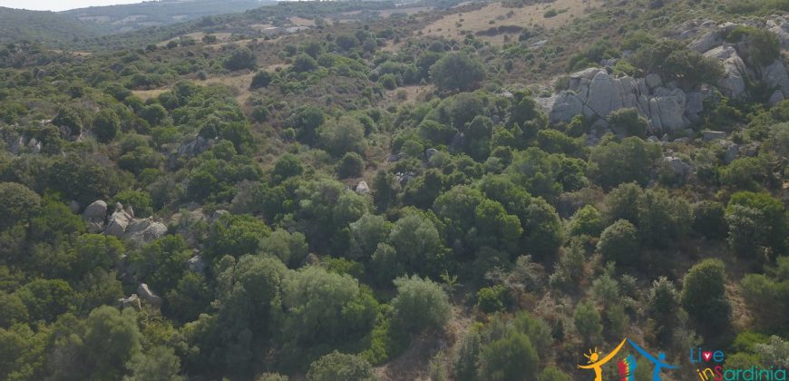 95 M2 Sea View Country Homes For Sale Sardinia ref.Ghjromu