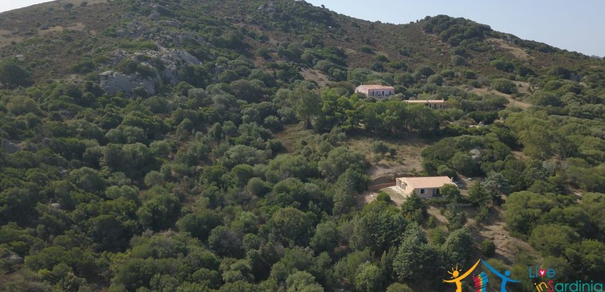 95 M2 Sea View Country Homes For Sale Sardinia ref.Ghjromu