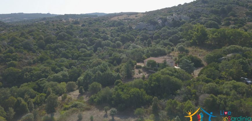 95 M2 Sea View Country Homes For Sale Sardinia ref.Ghjromu