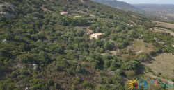 95 M2 Sea View Country Homes For Sale Sardinia ref.Ghjromu