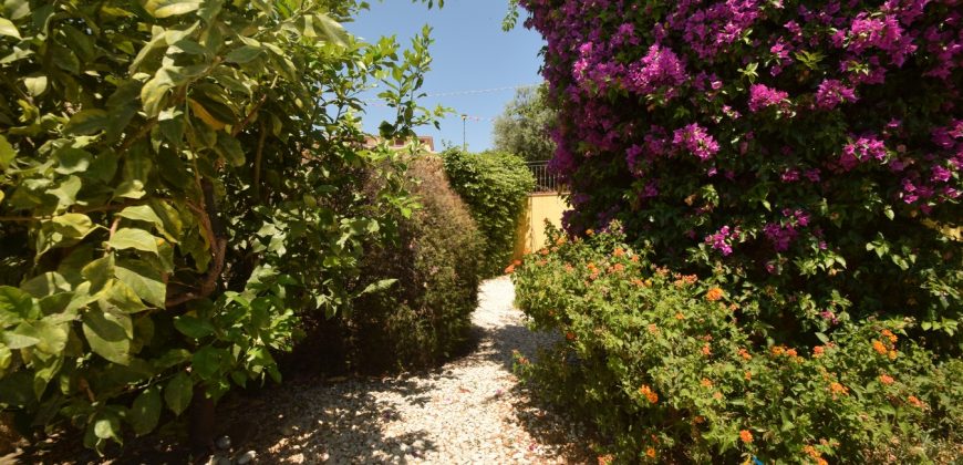 Cosy houses for sale Budoni with private garden.Ref.Carole