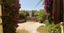 Cosy houses for sale Budoni with private garden.Ref.Carole