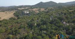 95 M2 Sea View Country Homes For Sale Sardinia ref.Ghjromu