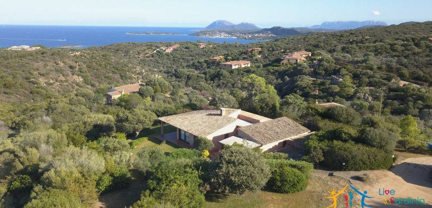 Sea view villas for sale San Pantaleo Sardinia ref.Villa Fulvia