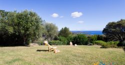 Sea view villas for sale San Pantaleo Sardinia ref.Villa Fulvia