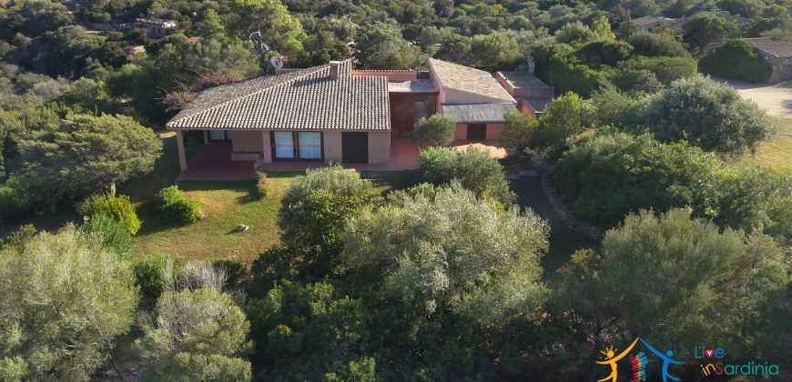 Sea view villas for sale San Pantaleo Sardinia ref.Villa Fulvia