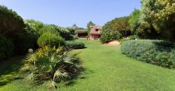 Superb Villa For Sale San Pantaleo With Sea View Ref.Domus