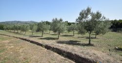 Country House For Sale Arzachena Italy Ref. Bonini