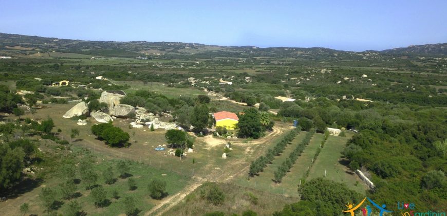 Country House For Sale Arzachena Italy Ref. Bonini