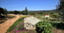 Country House For Sale Arzachena Italy Ref. Bonini