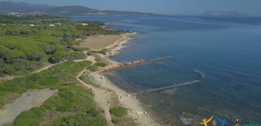 New Properties For Sale Budoni Sardinia B8 ref.Lar