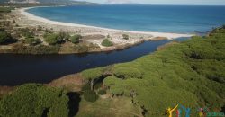Charming Property For Sale Sardinia Italy With Swimming Pool Ref. Adriano