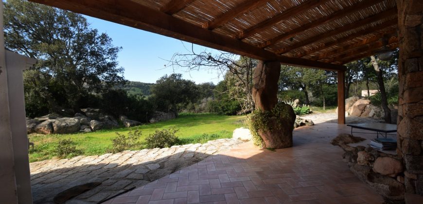 Country Home For Sale San Pantaleo Sardinia With 1 Ha Land ref. Villa Nadia