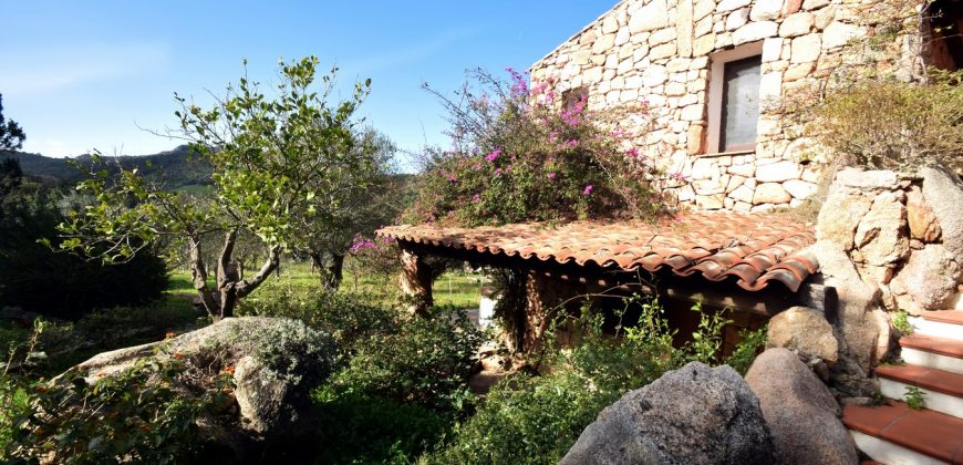 Country Home For Sale San Pantaleo Sardinia With 1 Ha Land ref. Villa Nadia