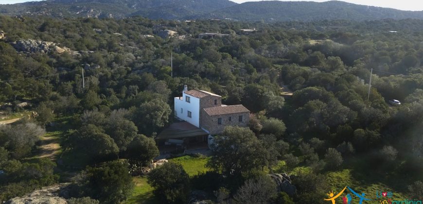 Country Home For Sale San Pantaleo Sardinia With 1 Ha Land ref. Villa Nadia