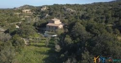 Country Home For Sale San Pantaleo Sardinia With 1 Ha Land ref. Villa Nadia