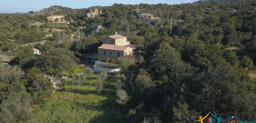 Country Home For Sale San Pantaleo Sardinia With 1 Ha Land ref. Villa Nadia