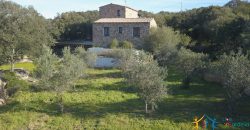 Country Home For Sale San Pantaleo Sardinia With 1 Ha Land ref. Villa Nadia