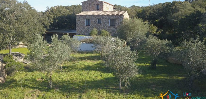 Country Home For Sale San Pantaleo Sardinia With 1 Ha Land ref. Villa Nadia