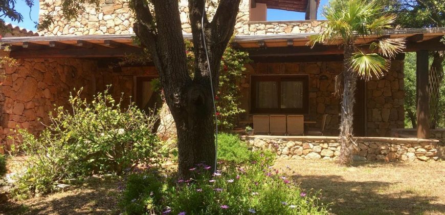Country Home For Sale San Pantaleo Sardinia With 1 Ha Land ref. Villa Nadia